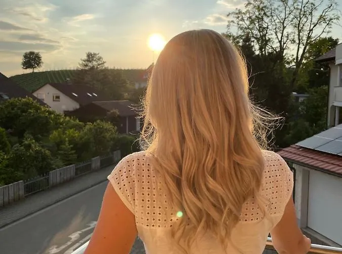 زيبرايز ميت موزيك أند واين ميرسبرغ