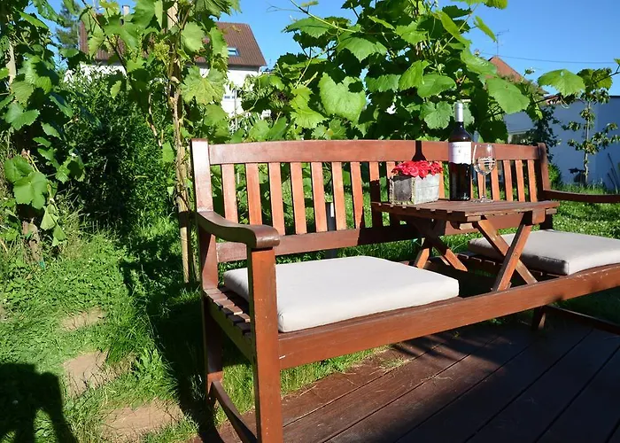 زيبرايز ميت موزيك أند واين ميرسبرغ